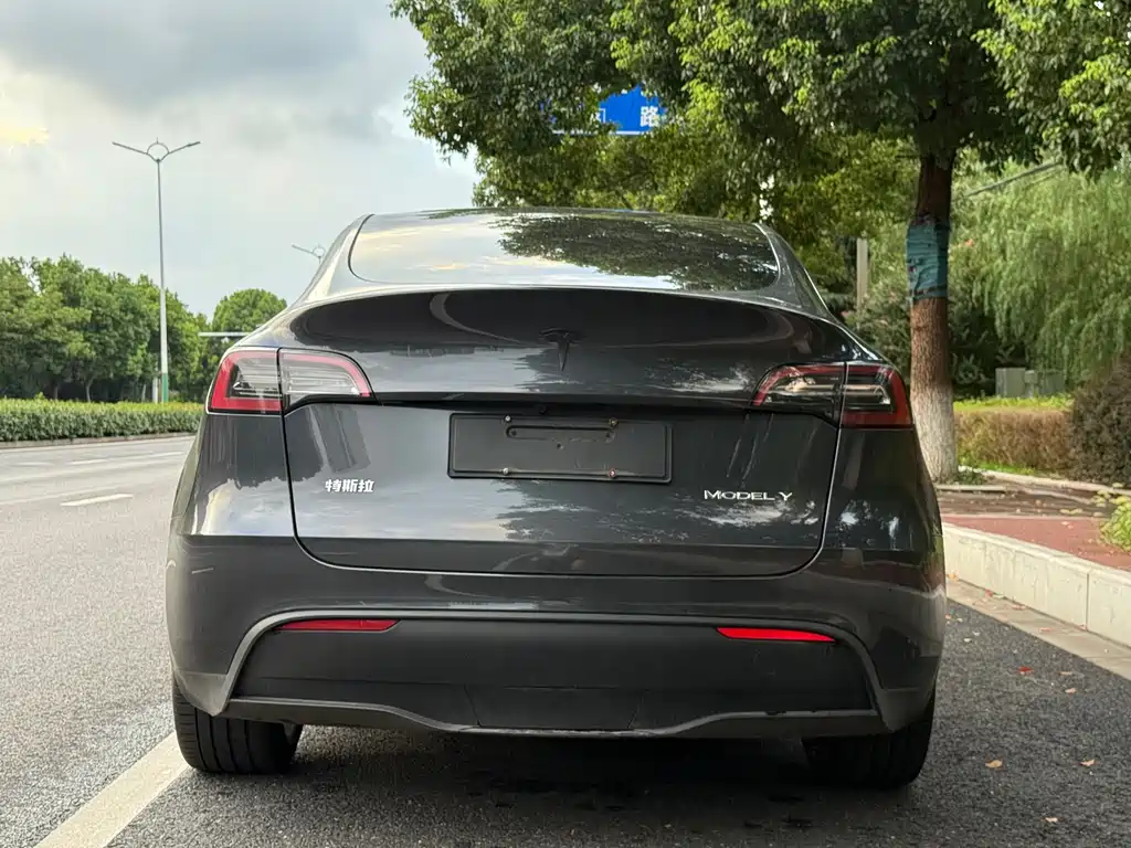 Tesla Model Y — фото 4