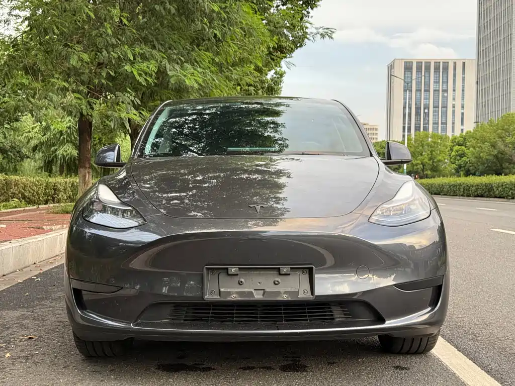 Tesla Model Y — фото 5