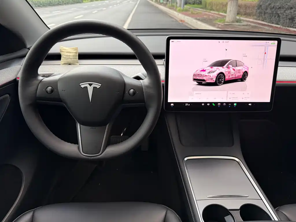 Tesla Model Y — фото 9