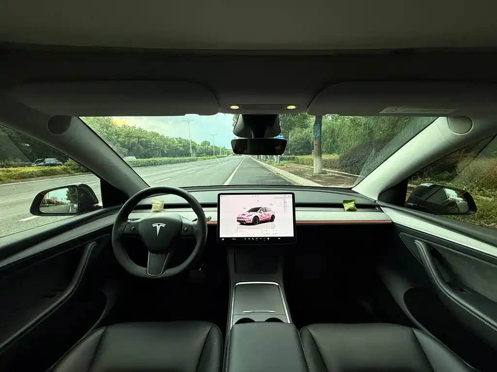 Tesla Model Y — фото 10