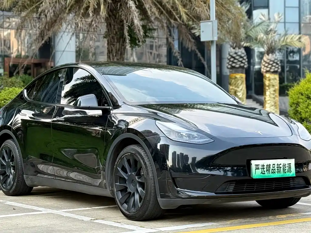Tesla Model Y — фото 3