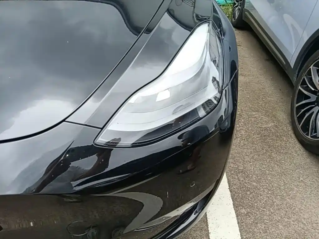 Tesla Model Y — фото 24