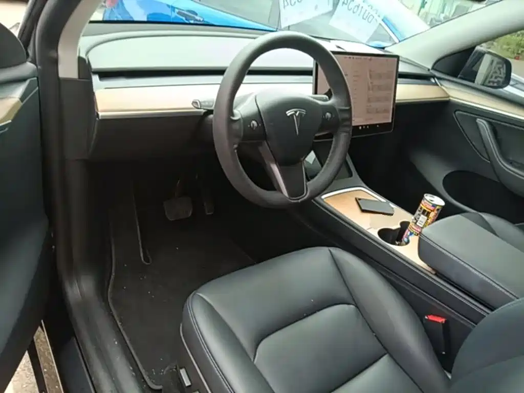 Tesla Model Y — фото 10