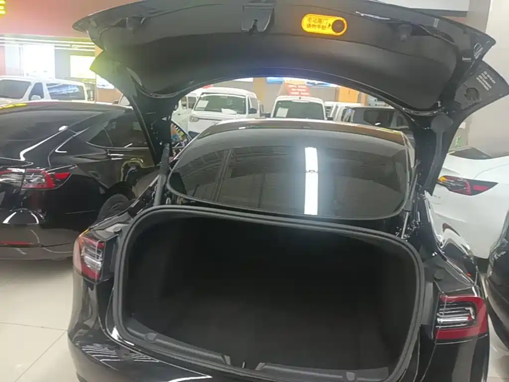 Tesla Model 3 — фото 19