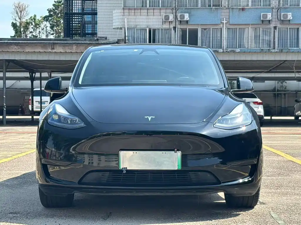 Tesla Model Y — фото 2