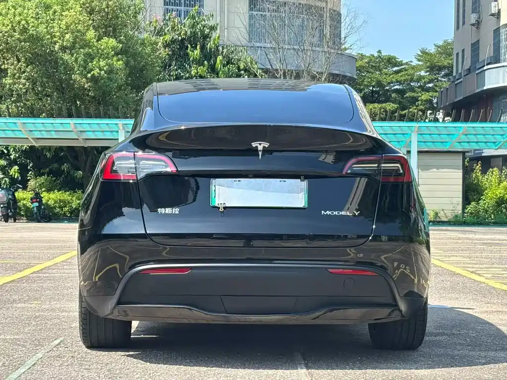 Tesla Model Y — фото 8