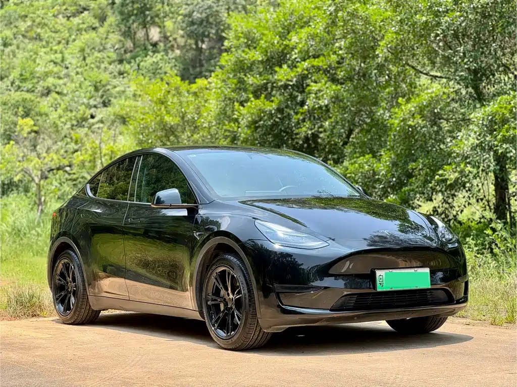 Tesla Model Y — фото 3