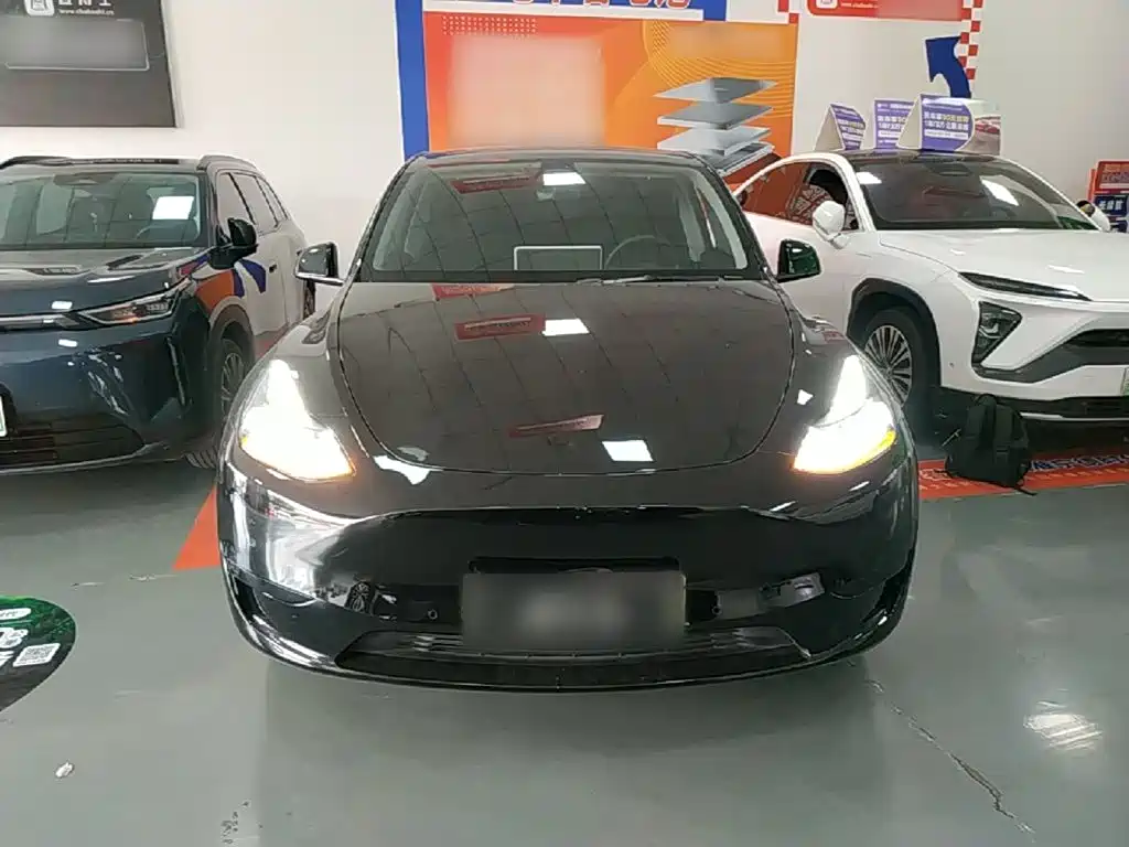 Tesla Model Y — фото 3