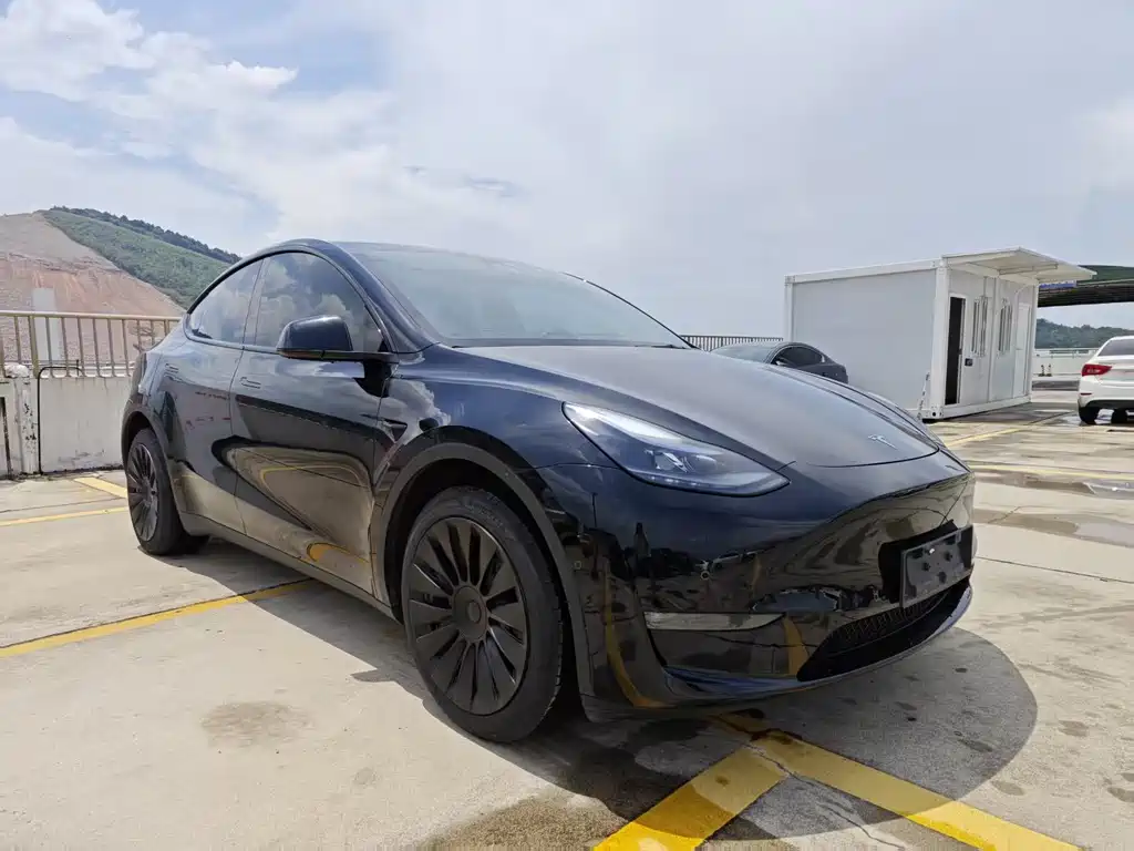 Tesla Model Y — фото 3