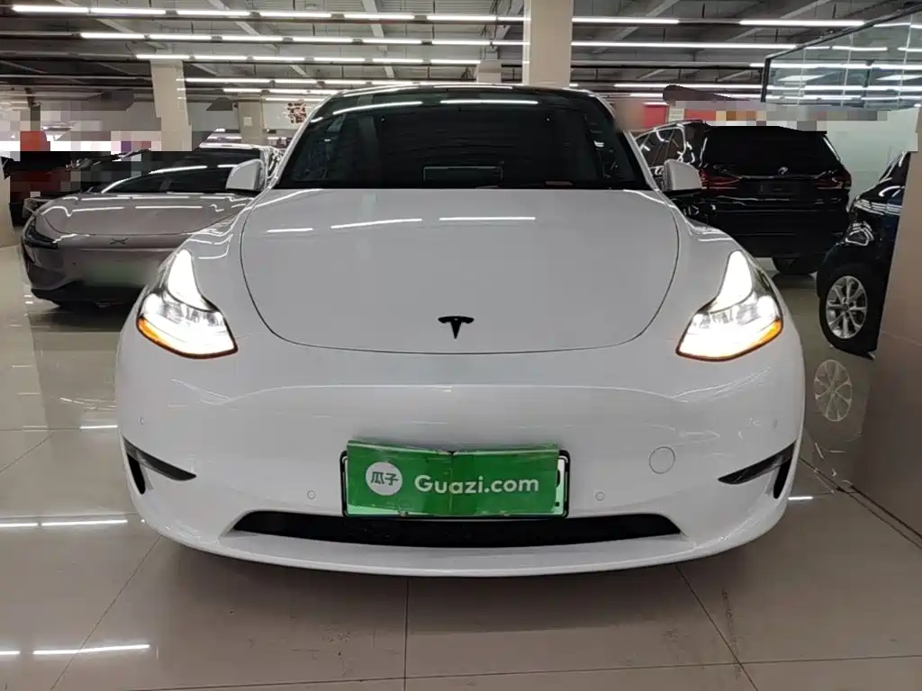 Tesla Model Y — фото 3