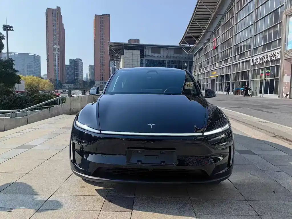 Tesla Model Y — фото 2