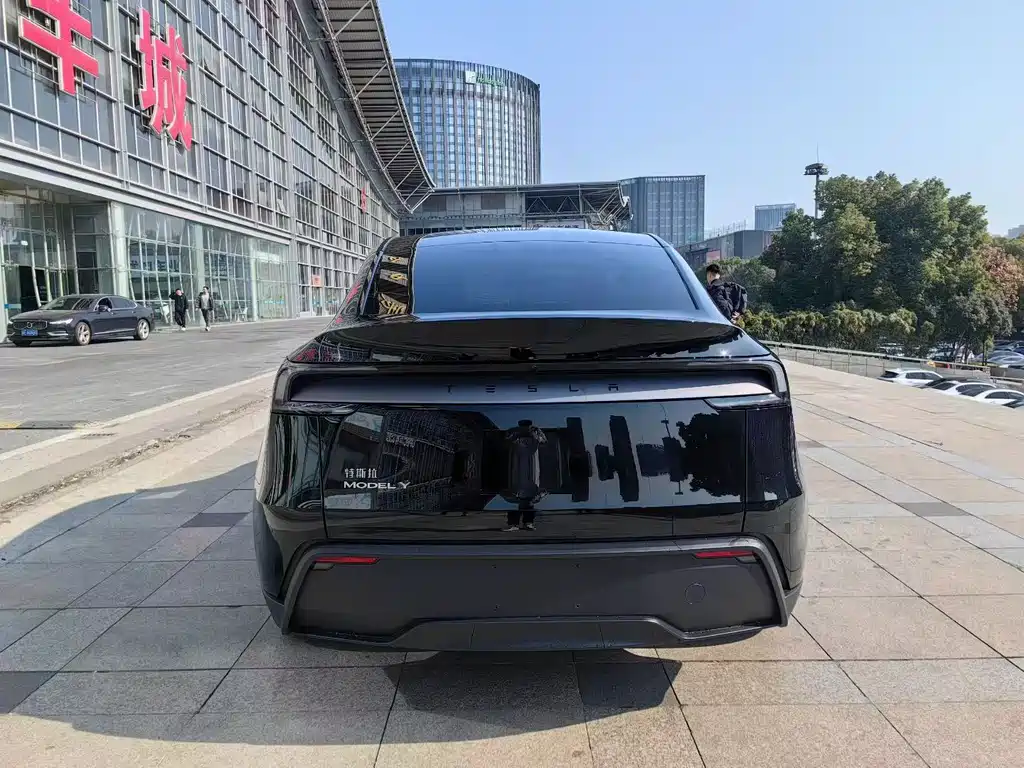 Tesla Model Y — фото 5