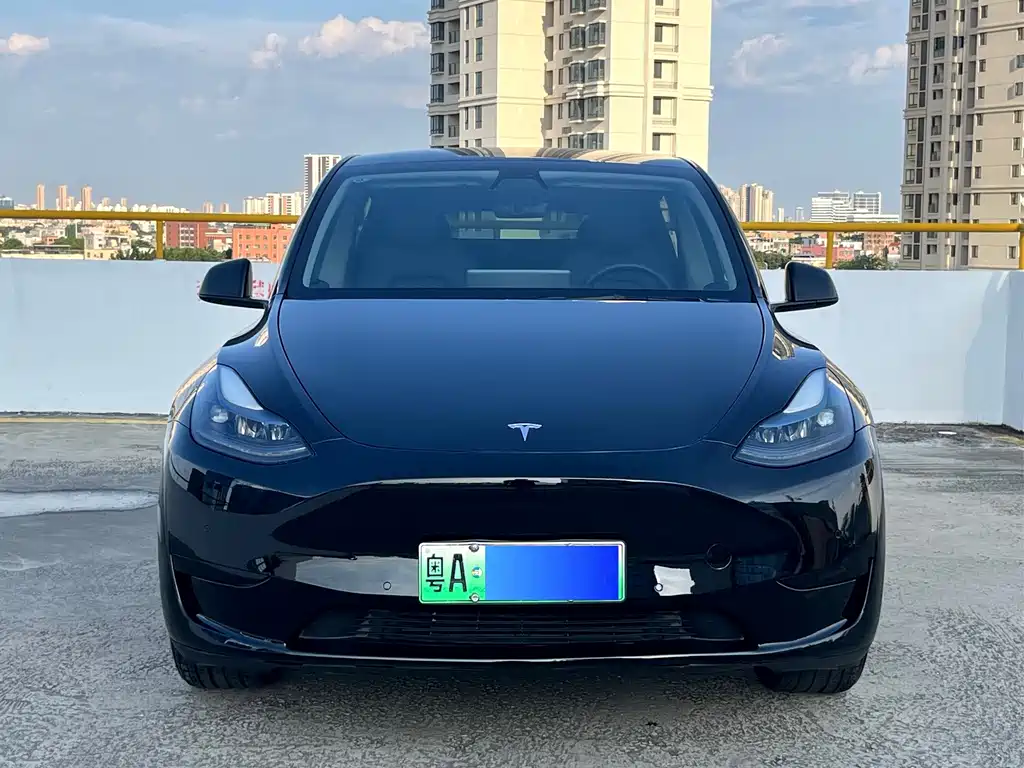 Tesla Model Y — фото 2