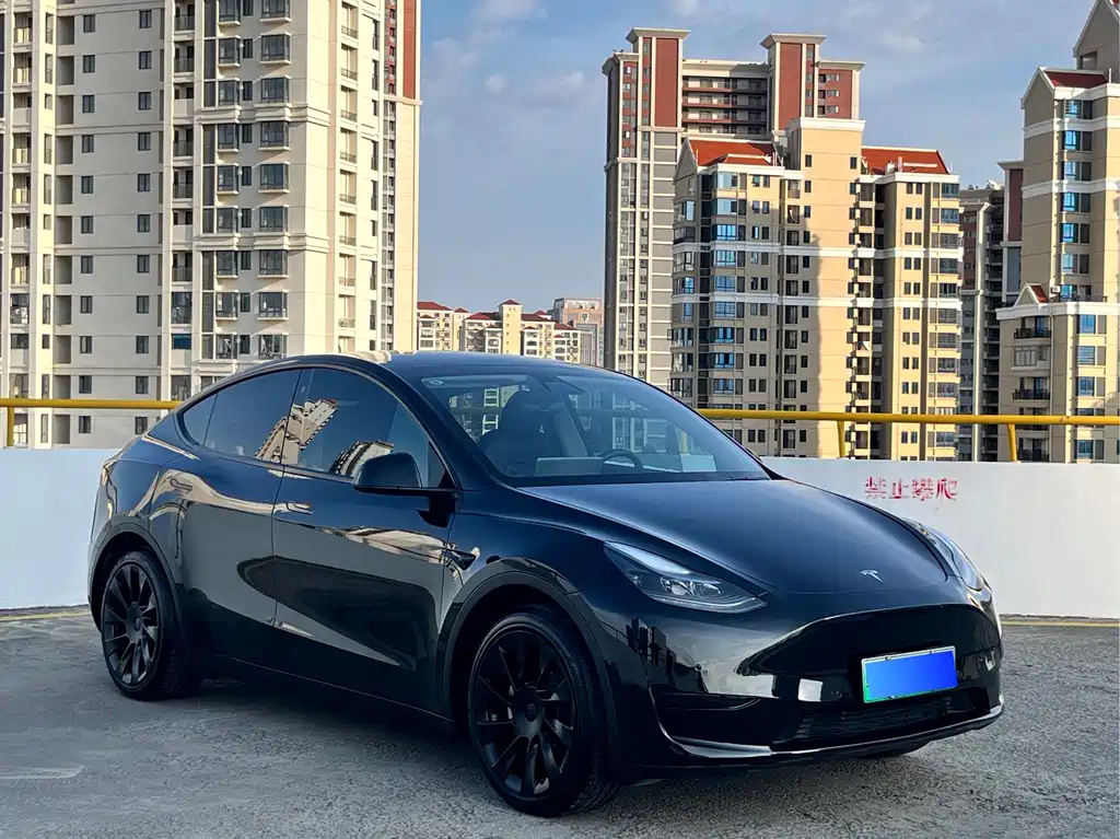 Tesla Model Y — фото 3
