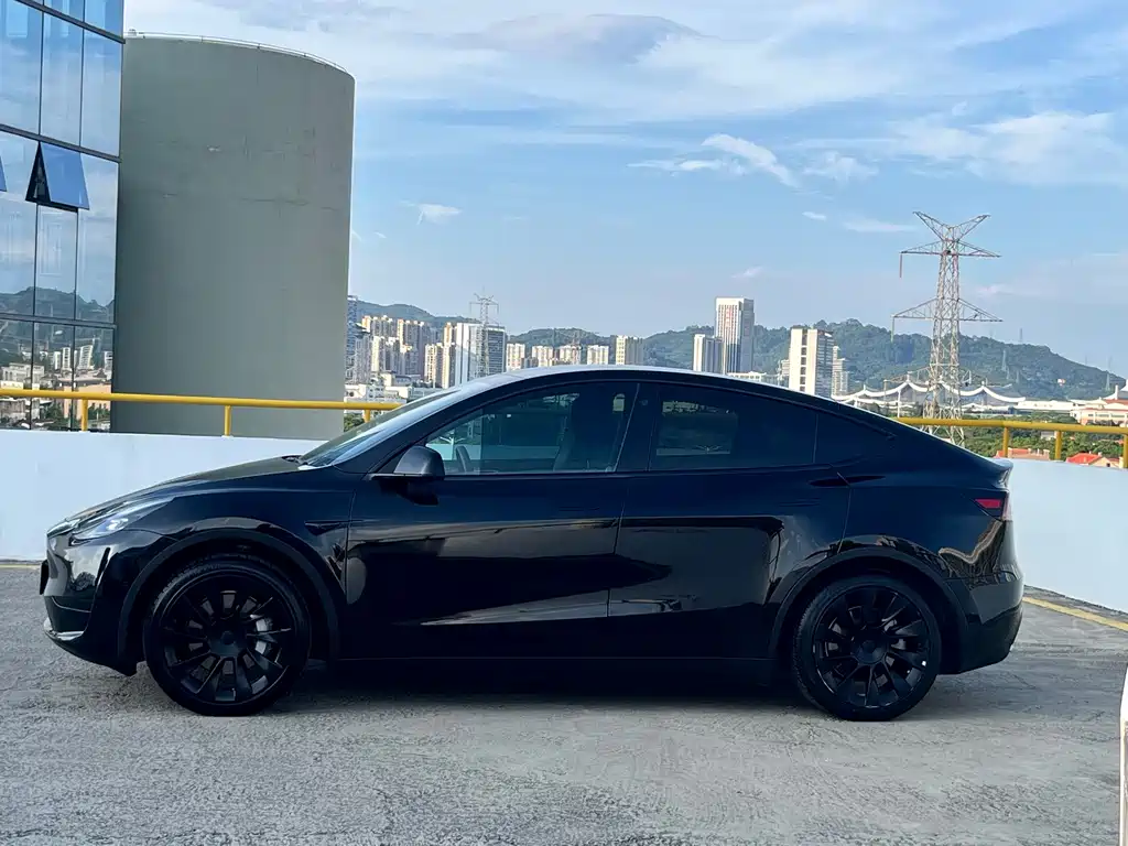 Tesla Model Y — фото 6