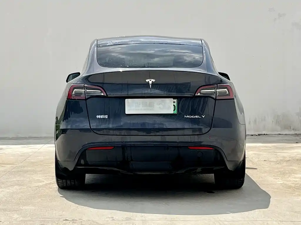 Tesla Model Y — фото 8
