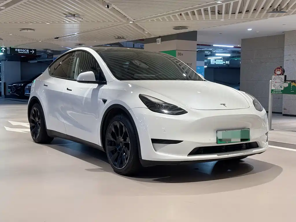 Tesla Model Y — фото 3