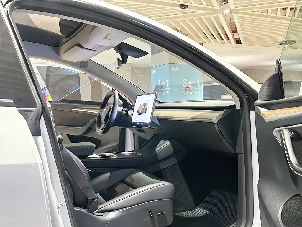 Tesla Model Y — фото 10