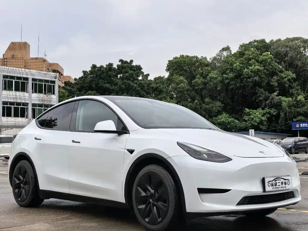 Tesla Model Y — фото 3
