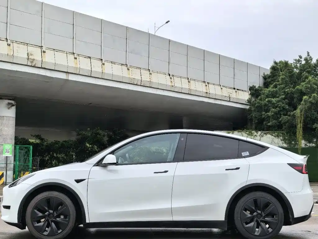 Tesla Model Y — фото 4