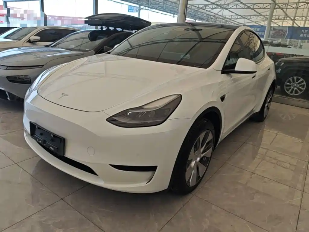 Tesla Model Y — фото 2