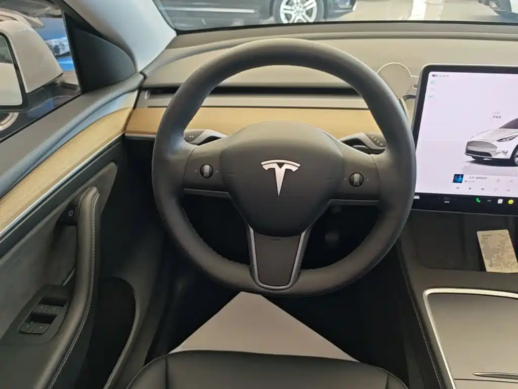 Tesla Model Y — фото 11