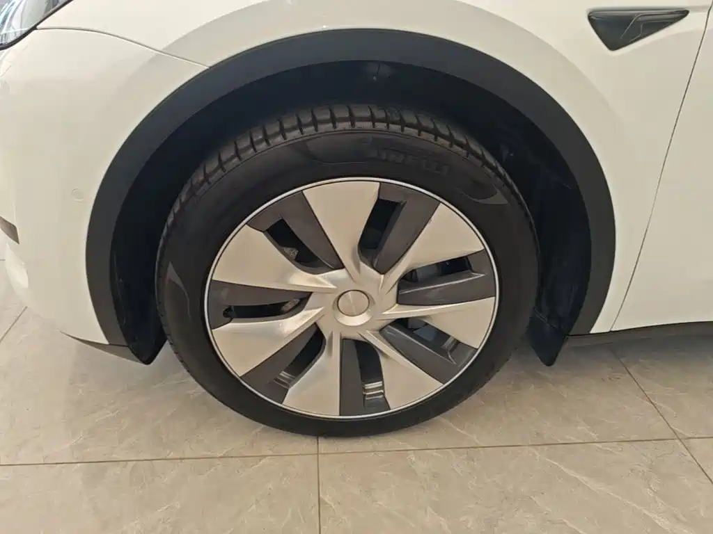 Tesla Model Y — фото 23