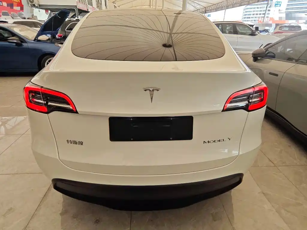 Tesla Model Y — фото 6