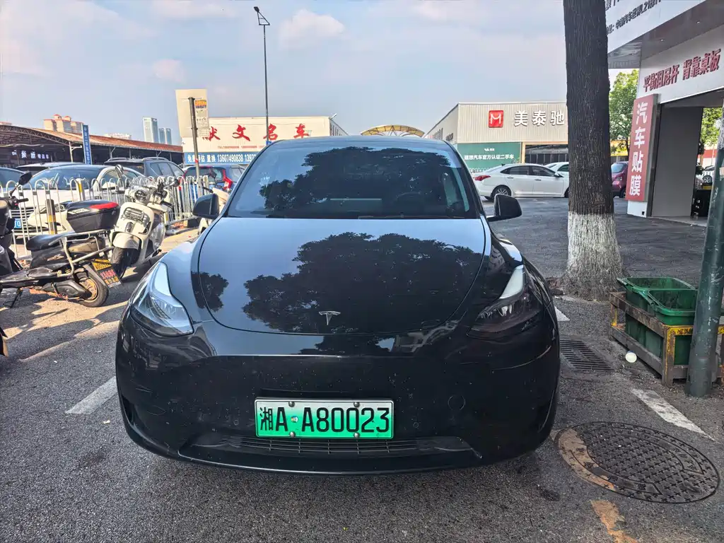 Tesla Model Y — фото 2