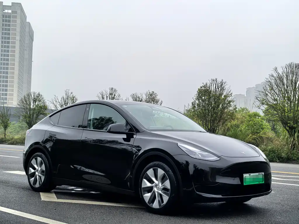 Tesla Model Y — фото 3