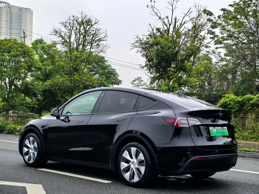 Tesla Model Y — фото 4