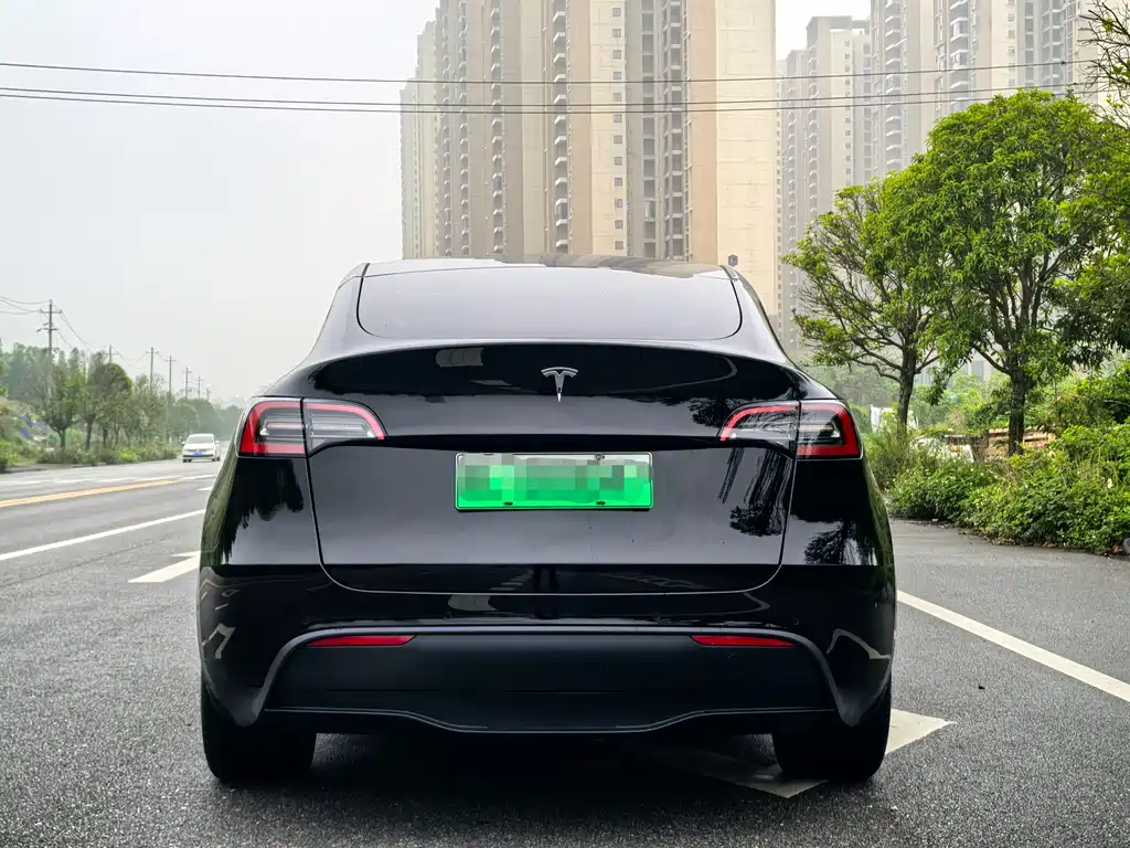 Tesla Model Y — фото 5