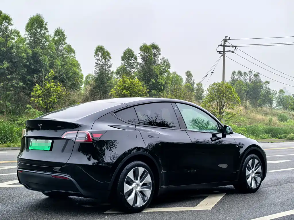 Tesla Model Y — фото 6