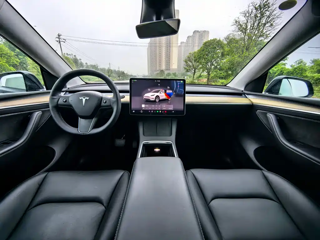 Tesla Model Y — фото 9