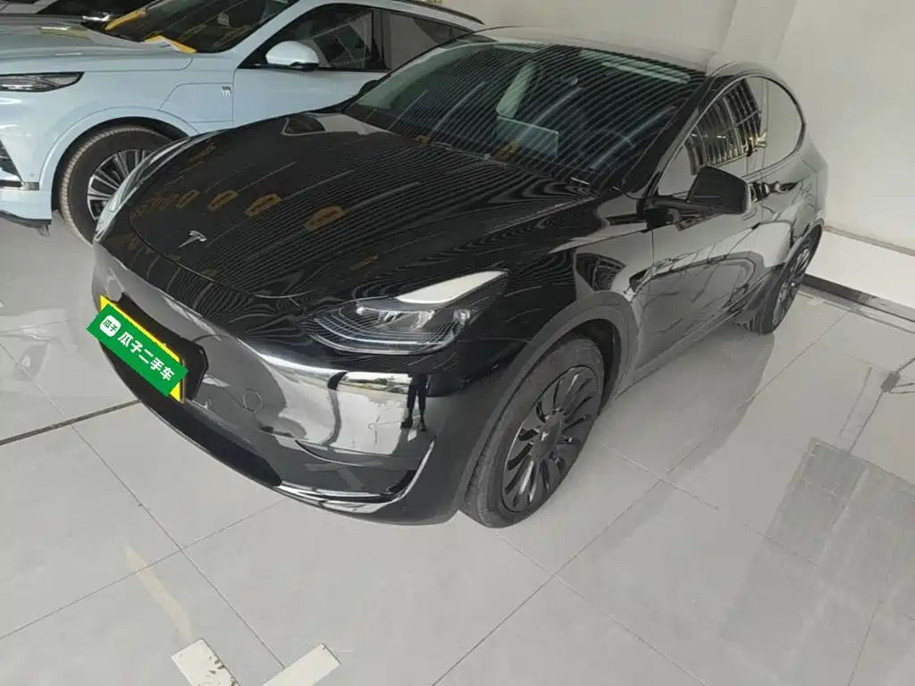 Tesla Model Y — фото 2