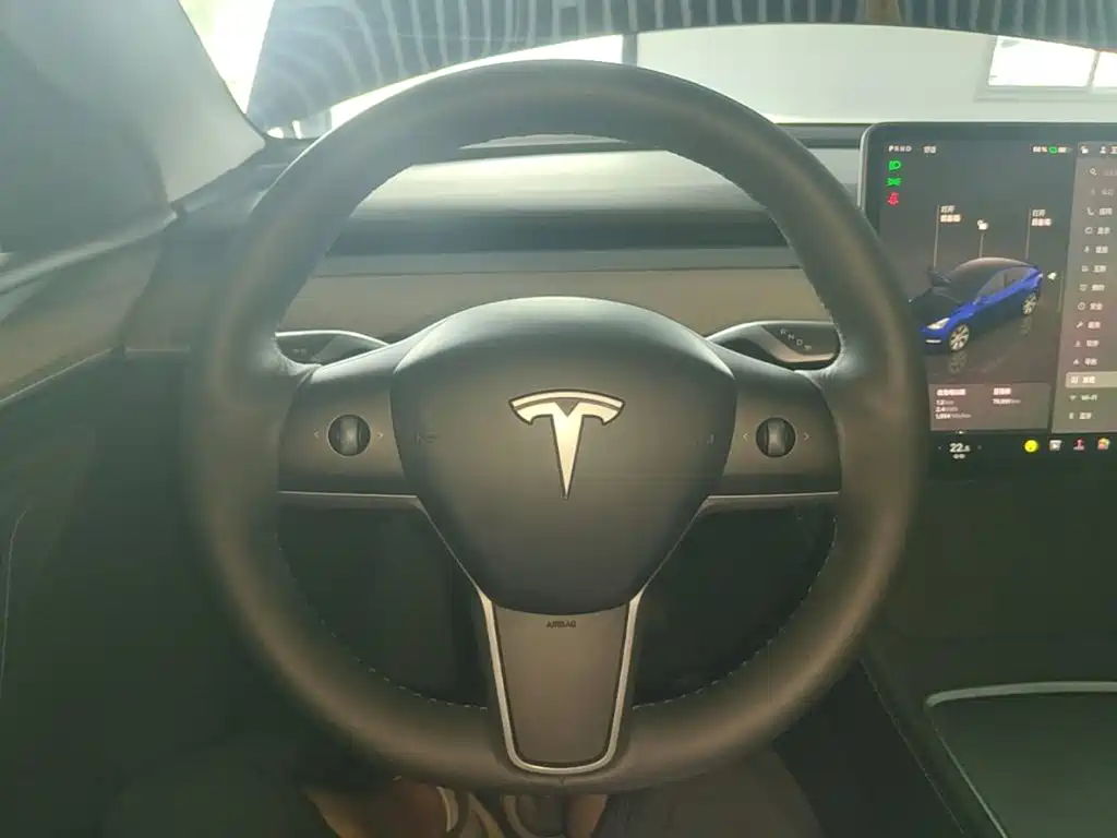 Tesla Model Y — фото 11