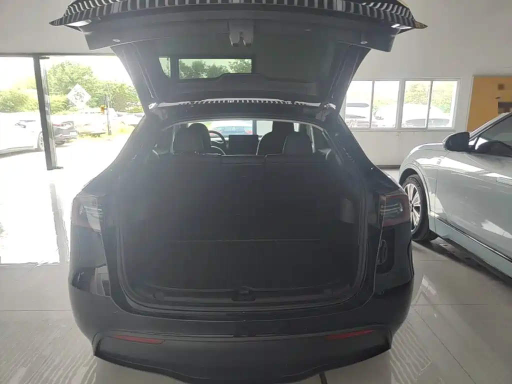 Tesla Model Y — фото 19