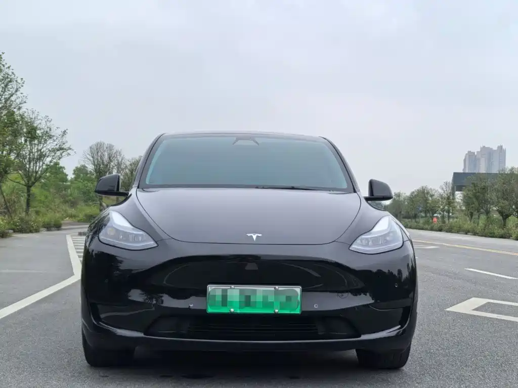 Tesla Model Y — фото 2