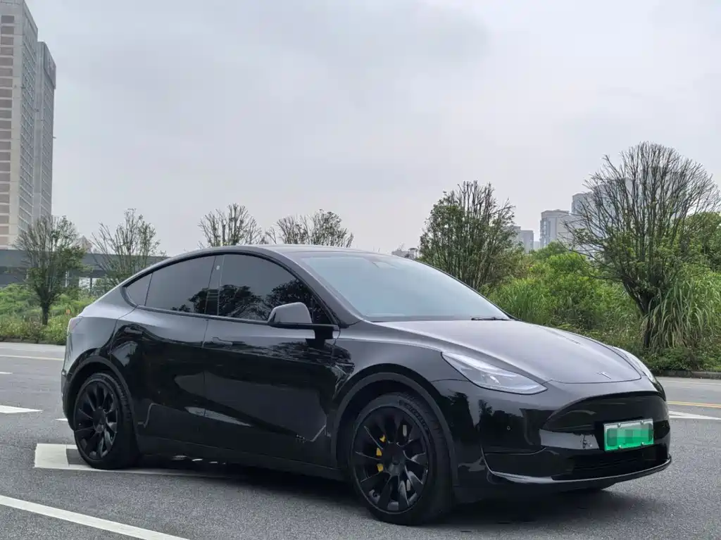 Tesla Model Y — фото 3