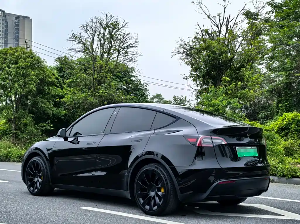 Tesla Model Y — фото 4