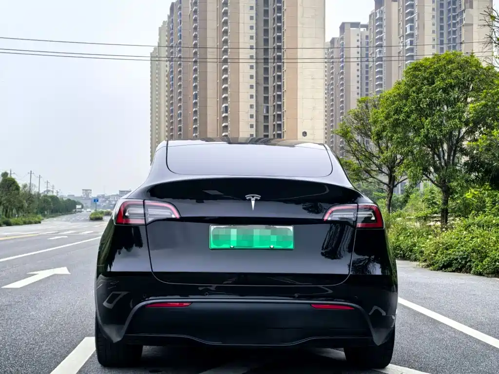 Tesla Model Y — фото 5