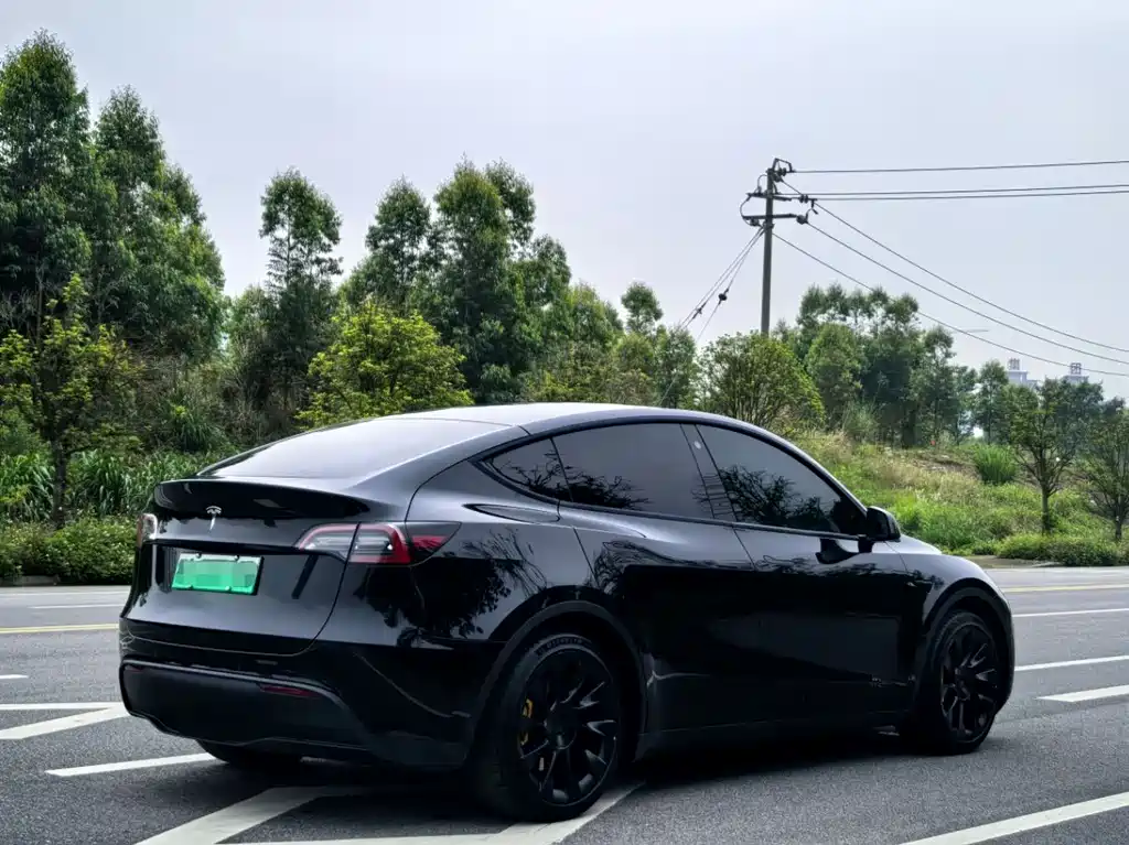 Tesla Model Y — фото 6