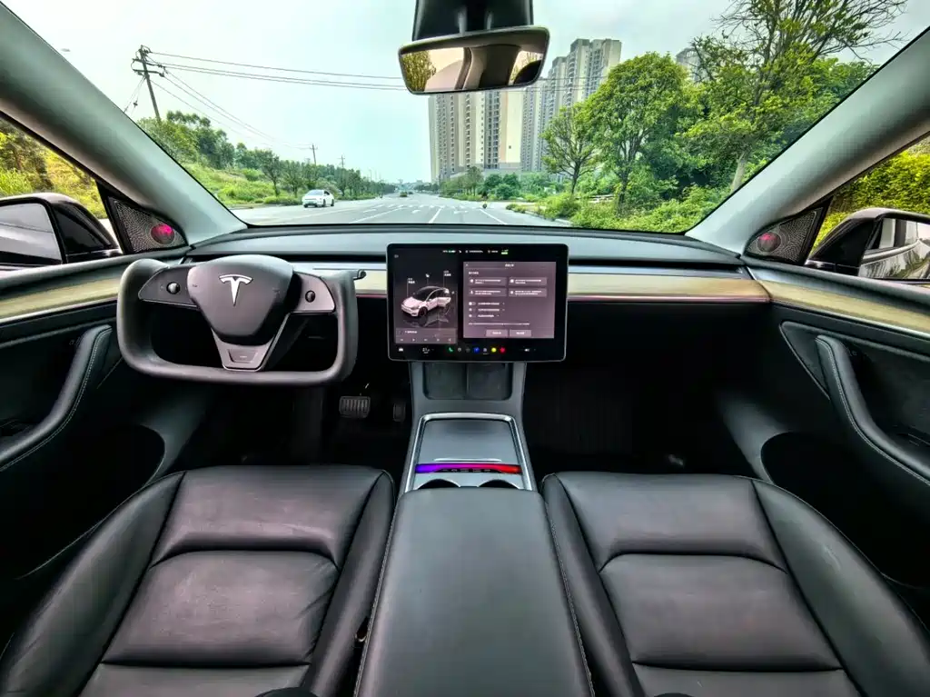 Tesla Model Y — фото 9