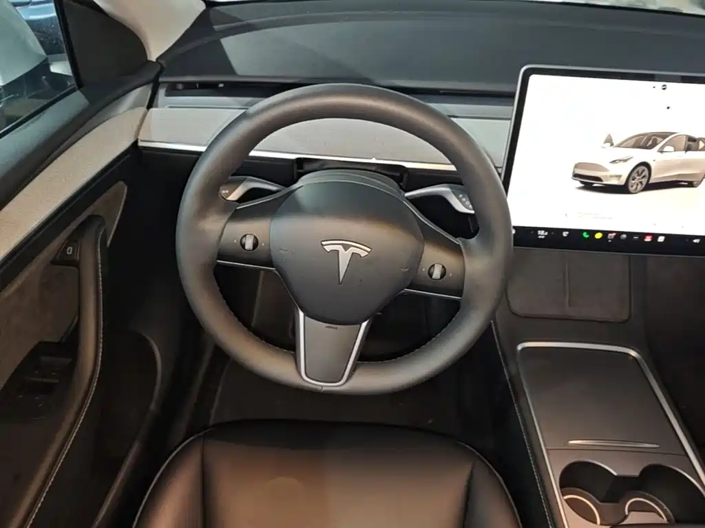 Tesla Model Y — фото 11