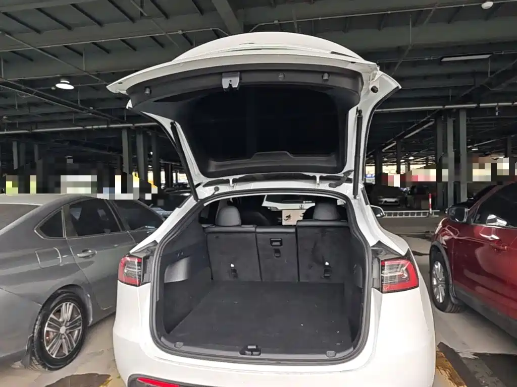 Tesla Model Y — фото 19