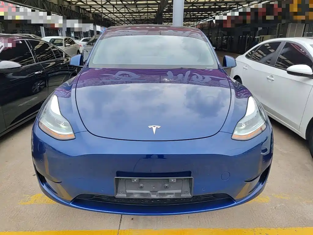 Tesla Model Y — фото 3