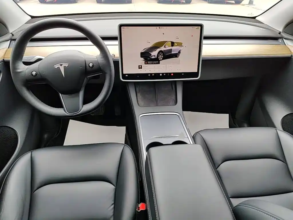 Tesla Model Y — фото 10