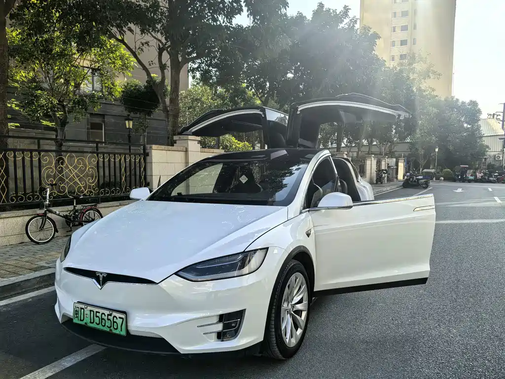 Tesla Model X — фото 5