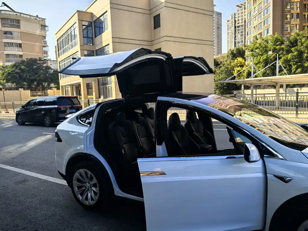 Tesla Model X — фото 6
