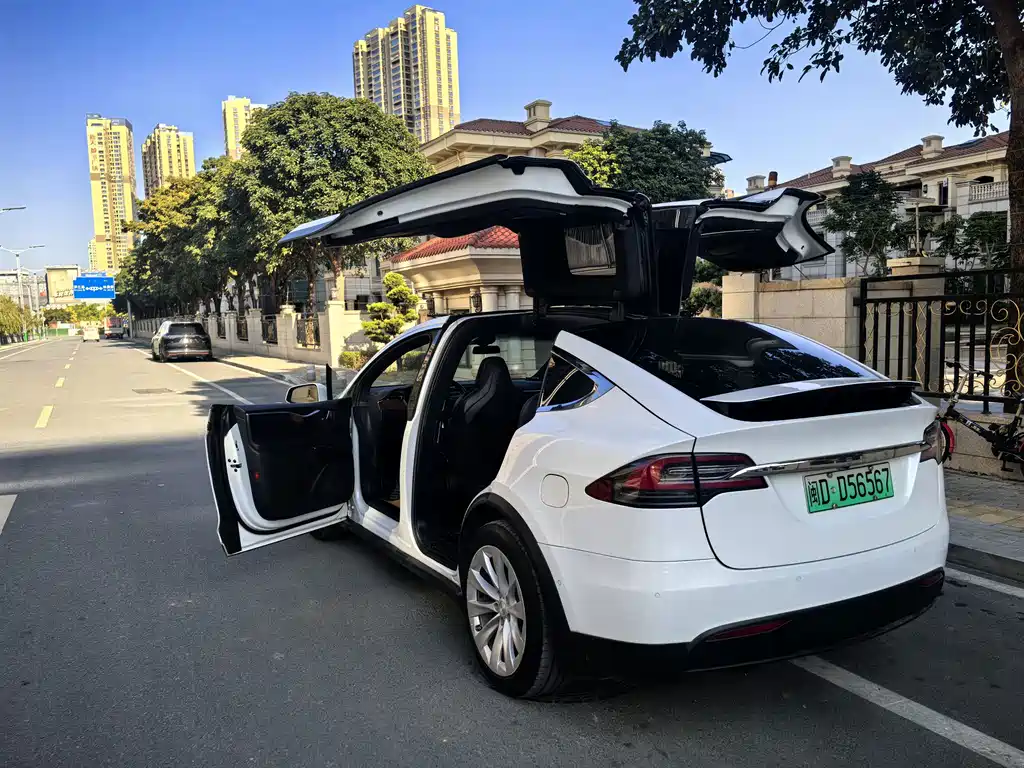 Tesla Model X — фото 7
